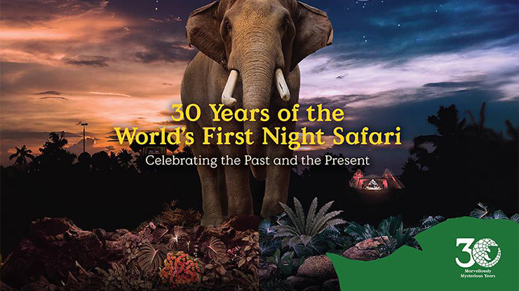 Celebrate 30 Years of the World’s First Night Safari (16 May - 08 Sep)