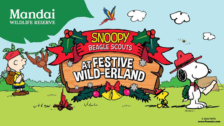 Snoopy Beagle Scouts at Festive Wild-erland (02 Nov 24 - 05 Jan 25)